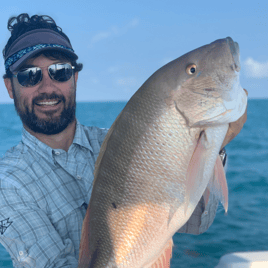 Barrier Reef Snappers and More