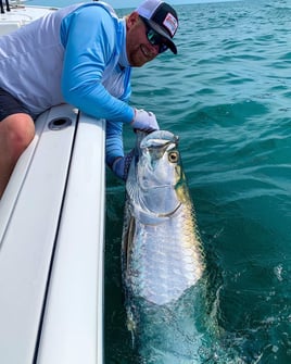 Boca Grande Pass Tarpon