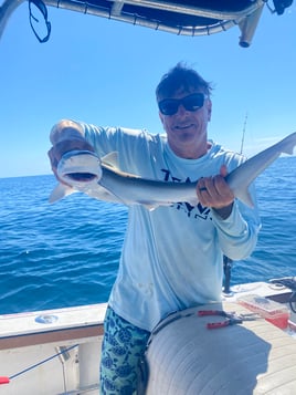 Inshore fishing on the Nauti Diver