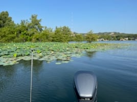 Stillhouse Lake Bass Fishing