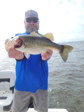 Lake Okeechobee Largemouth Hookfest