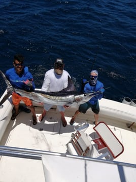 Cabo Offshore Magic