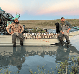 Coastal Bend Ducks