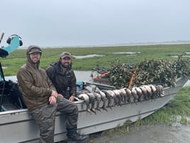 Coastal Bend Ducks