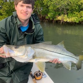 Melbourne Inshore Assault