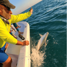 Islamorada Tarpon on the Fly