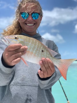 Mutton Snapper Fishing in Islamorada, Florida