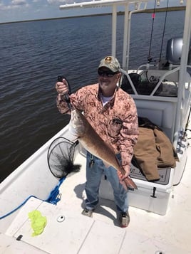 Cajun Inshore Chase