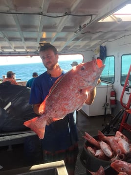 6-Hour Snapper Trip