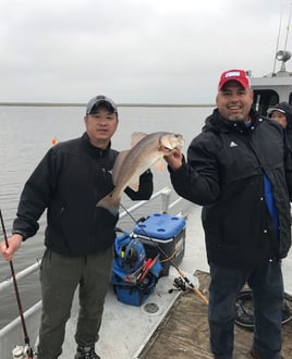 Redfish Fishing in Lafitte, Louisiana