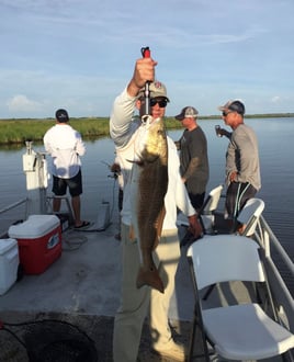 Redfish Fishing in Lafitte, Louisiana