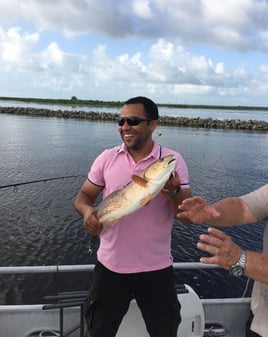 Redfish Fishing in Lafitte, Louisiana