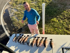 Fill Day Fishing trip National Park flamingo with Capt. Joey