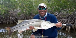 Full day Everglades national park fishing trip