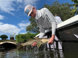 Snook Fishing in Jupiter, Florida