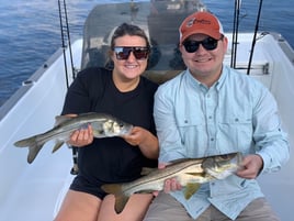 Snook Fishing in Jupiter, Florida