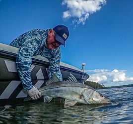 Snook Fishing in Jupiter, Florida