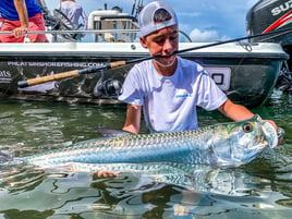 Tarpon Fishing in Jupiter, Florida