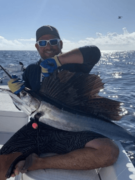 Islamorada Sailfish Special