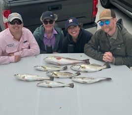 Redfish, Speckled Trout Fishing in Corpus Christi, Texas