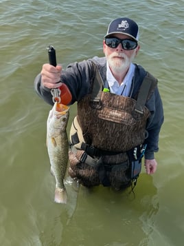 Speckled Trout Fishing in Corpus Christi, Texas