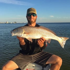 Redfish Fishing in Tampa, Florida