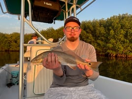 Tampa Bay Inshore Action