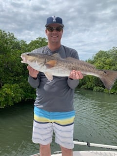 Tampa Bay Inshore Action