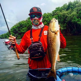 Redfish Fishing in Tampa, Florida