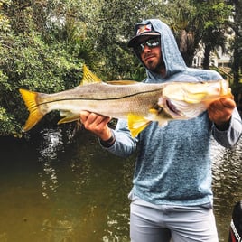 Snook Fishing in Tampa, Florida