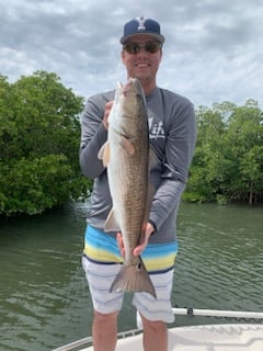 Tampa Bay Inshore Action