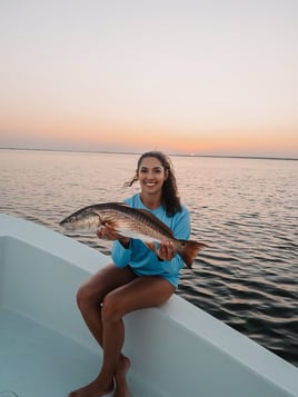 Tampa Bay Inshore Action