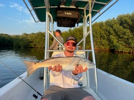 Tampa Bay Inshore Action