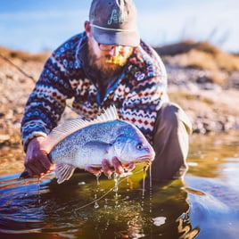 Freshwater Drum Fishing in Granbury, Texas