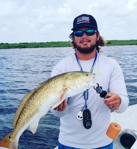 Aransas Pass Redfish Rodeo