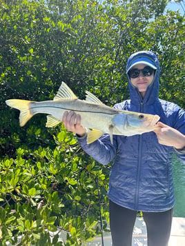 Snook Fishing in Coral Gables, Florida