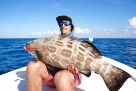 Black Grouper Fishing in Coral Gables, Florida