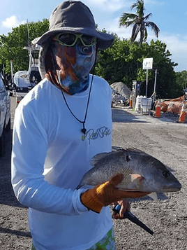 Expert Level Spearfishing Trip