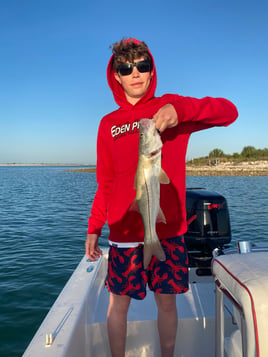 Clearwater Inshore Fishing