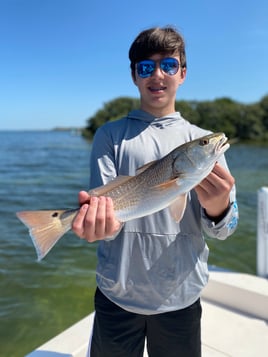 Clearwater Inshore Fishing