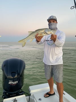 Clearwater Inshore Fishing