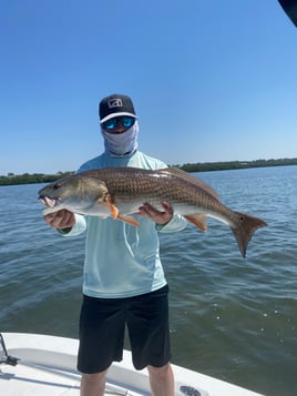 Clearwater Inshore Fishing