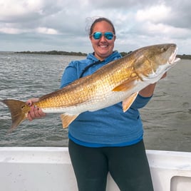 Inshore Charter - 26' World Cat