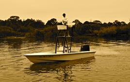 Tarpon Springs Inshore Fishing