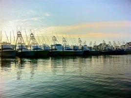 Tarpon Springs Inshore Fishing