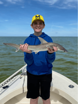 Tampa Bay Shark Hunt