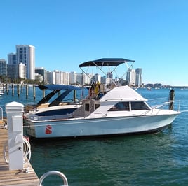 Miami Lobstering Trip - 28' Bertram