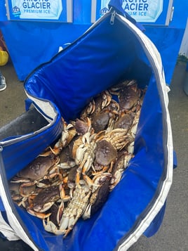 Astoria Crabbing Trip