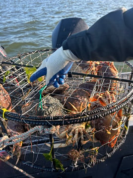 Astoria Crabbing Trip