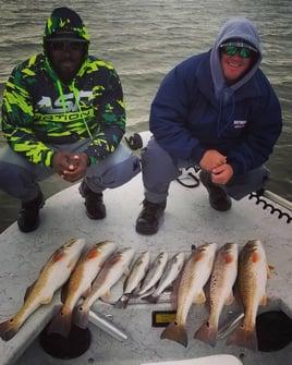 Aransas Pass Redfish Wade